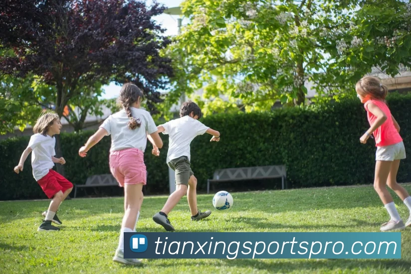 天行体育专业平台平台生态图