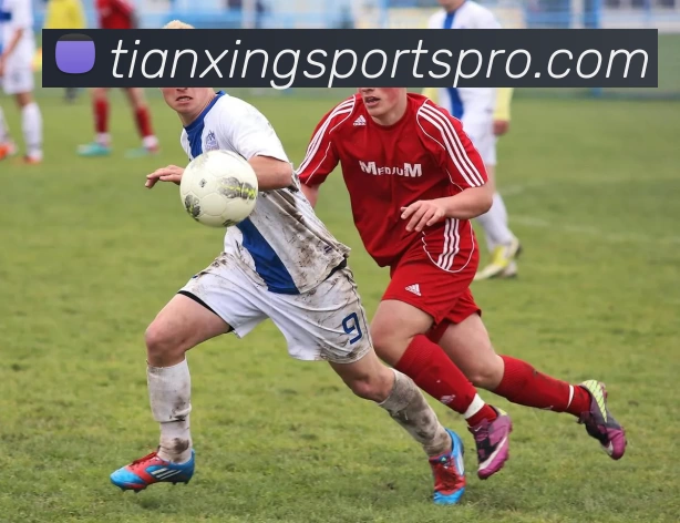 天行体育专业平台全站App